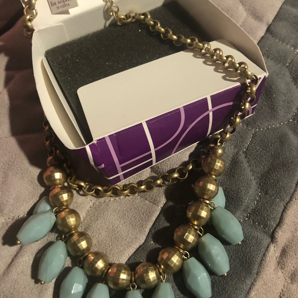 New Lia Sophia necklace
